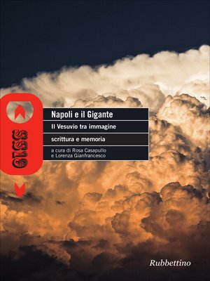 cover image of Napoli e il gigante